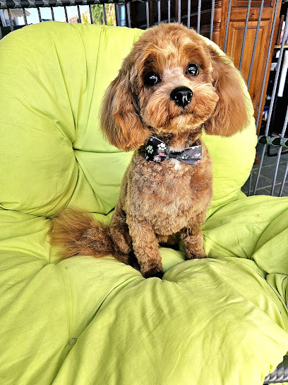 Le Woof Grooming Salon