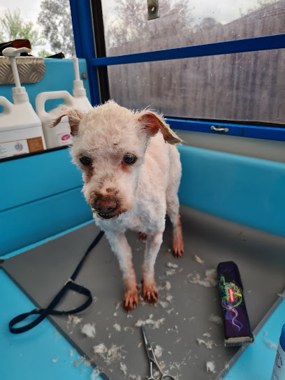 Aussie Pooch Mobile Dog Wash Narre Warren