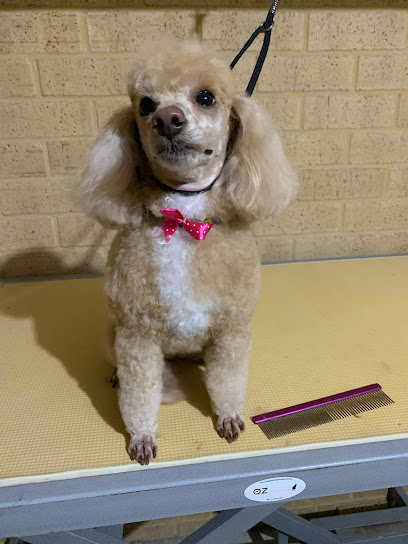 Sams Dog Grooming