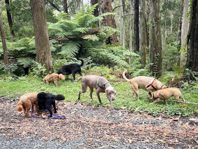 Happy Hills Hounds
