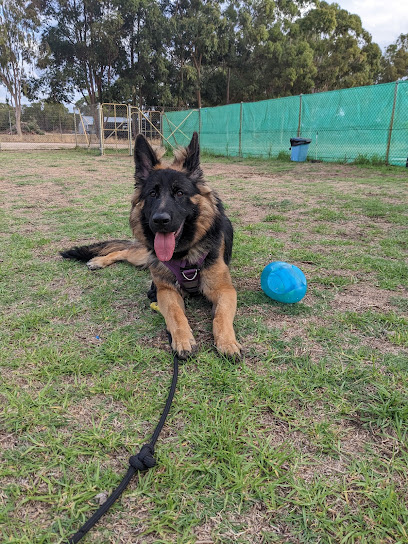 Totally Pawsible