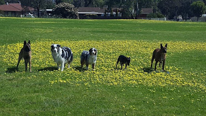 All Breeds Dog Training