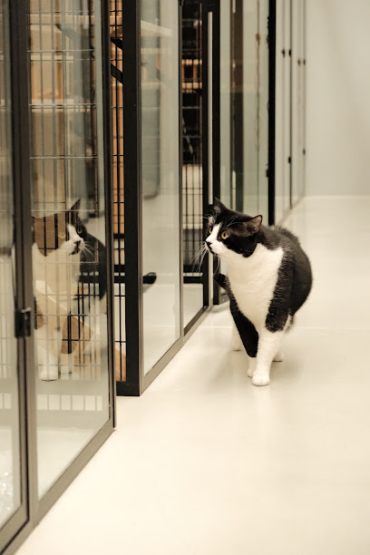Paws Hotel