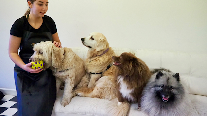 Pampering Pooches