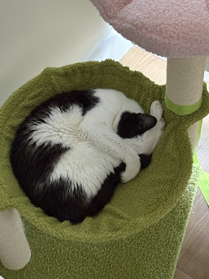 Heathmont Animal Hospital