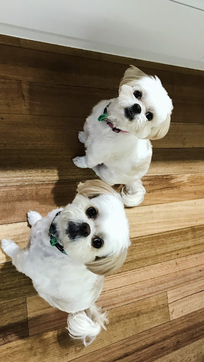 Custom K9’s