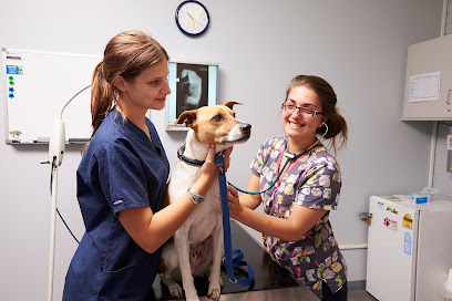 Student Veterinary Clinic