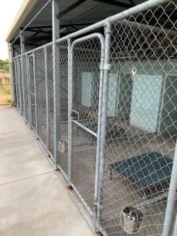 Sniff Scratch Snooze kennels