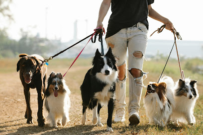 Happy Paws Dog Sitter