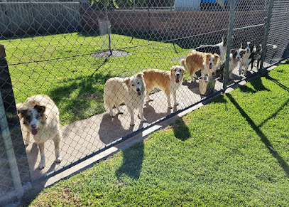 Greenacre Kennels