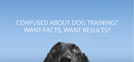 AUSDOG The Real Dog Trainer Melbourne