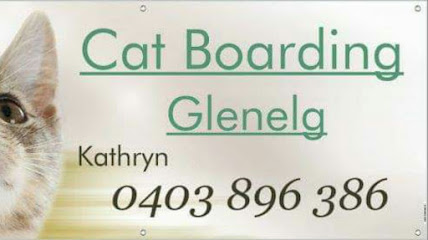 Cat Boarding Glenelg