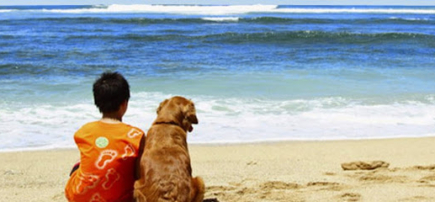 City Beach Veterinarians