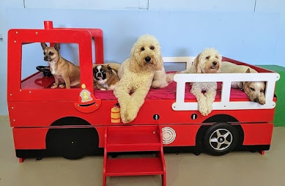 Canines Unleashed