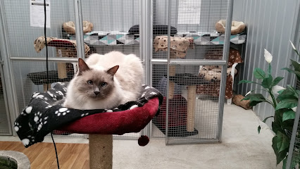 Karnup Boarding Cattery