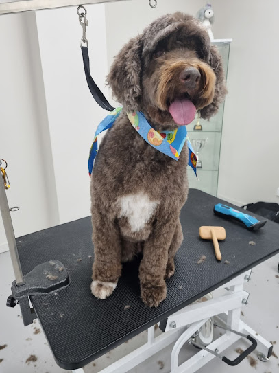 Grubby Paws Mobile Dog Wash & Groomer