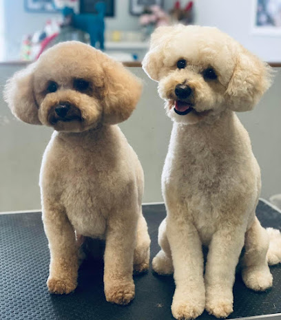 House of Fur Dog Grooming