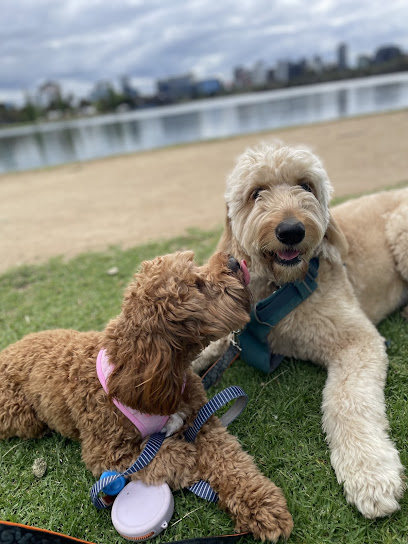Bayside Dog Sitters