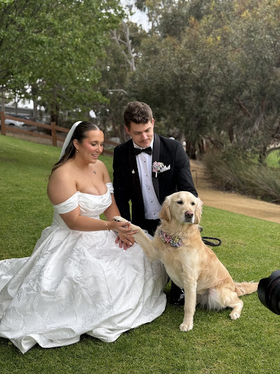 Adelaide Dog Co.