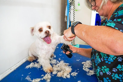 Bubbly Paws Dog Grooming