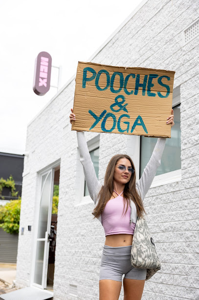 Puppy Yoga in Adelaide – The Original Wellness & Puppy Cuddle Experience | Pooch Yoga SA