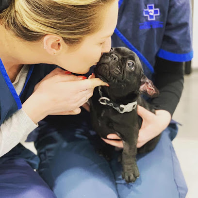 Melbourne Bulldog Clinic