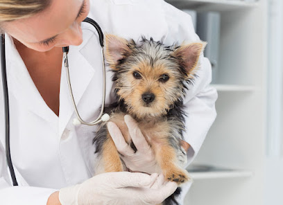 Colonel Light Veterinary Clinic