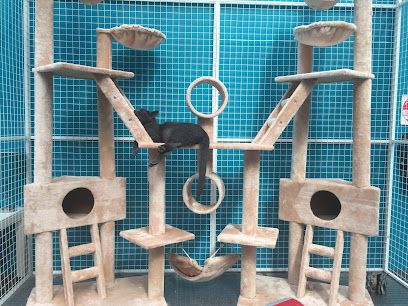 Meow Mansion