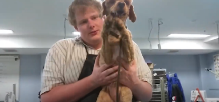 Pets R Best