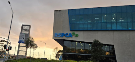 RSPCA Burwood East Vet Clinic