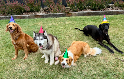 Lead Well Dog Training