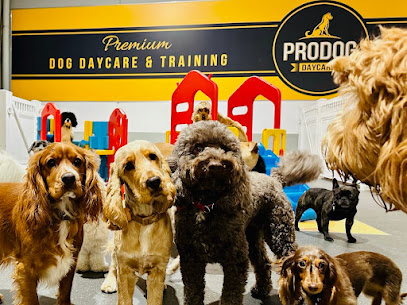 Pro Dog Daycare: West Footscray