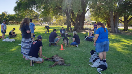 Complete Canine Training Solutions