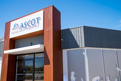 Ascot Veterinary Hospital
