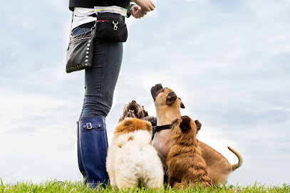 Bark in the Park