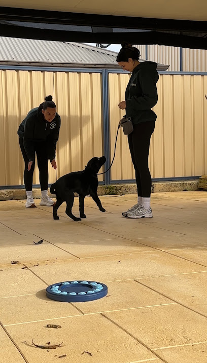 Pawtential Unleashed Perth