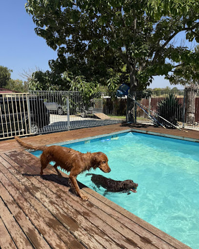 Dogz and Catz Retreat