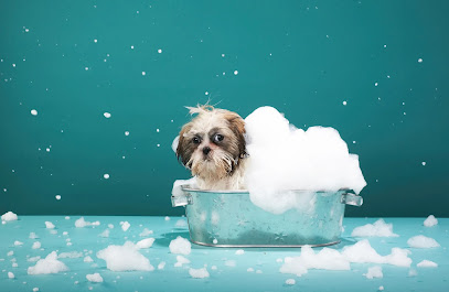 The Prefurred Groomer
