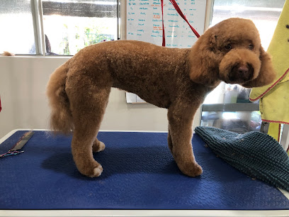 Aussie Pooch Grooming Salon