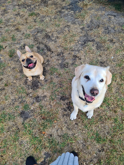 The Doghouse Pet Services