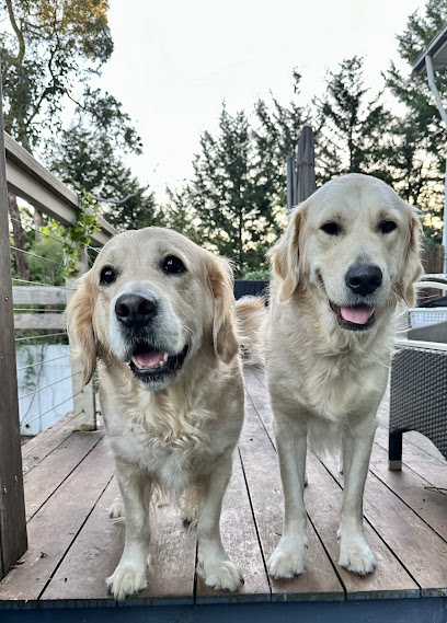 The Pooch Pad