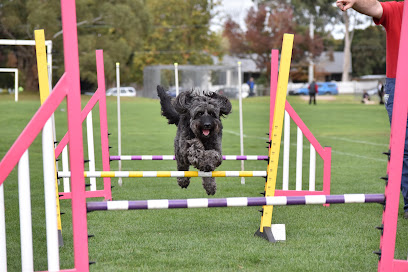 Croydon & District Obedience Dog Club