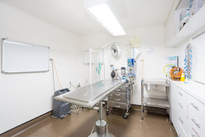 Pets Health O’Halloran Hill Vet Centre