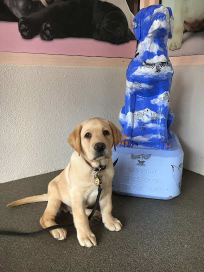 Guide Dogs Victoria