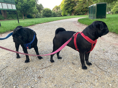 Best Day Ever Dogs