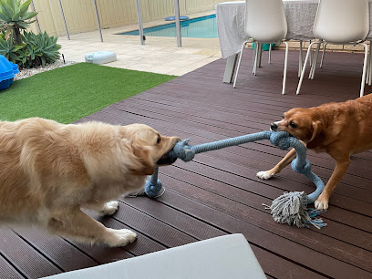 Marley & Bear’s Doggy Daycare