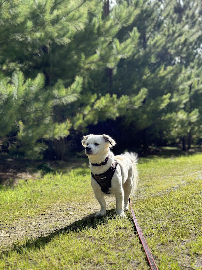 Tails of the Fleurieu | Jen’s Pet Care