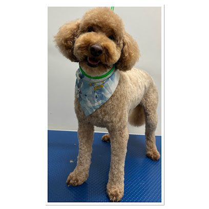 Urban Furdo Pet Styling