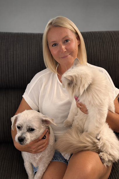 Allpet House Sitters