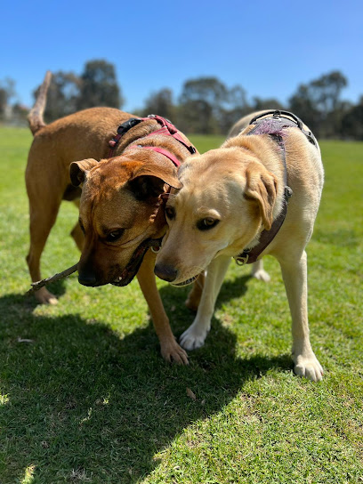 Windsor Walkies
